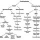 resistant starch