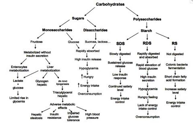 resistant starch