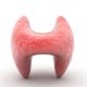 thyroid hormone