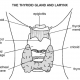 thyroid health