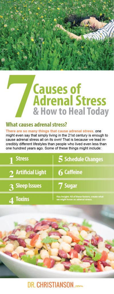 Dr Christianson Heal Your Adrenals