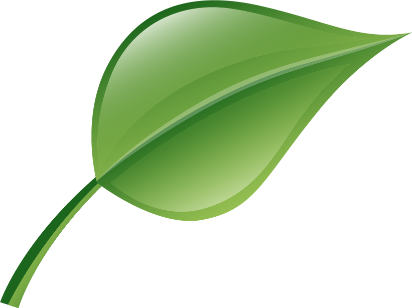 leaf-icon