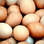 Eggs: Incredible or Inedible?
