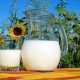 camel milk