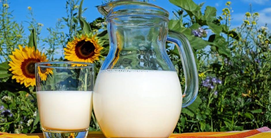 camel milk