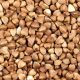 whole grains
