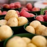 The Potato Hack for ImprovedThyroid Function: How Resistant Starch Can Support Steadier Blood Sugar