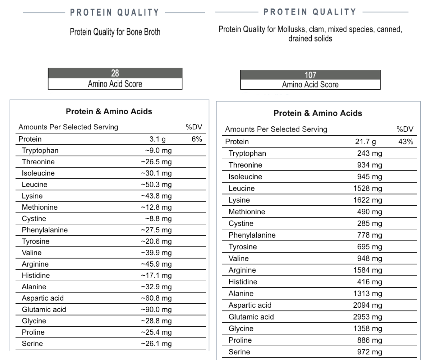 For the Love of Clams