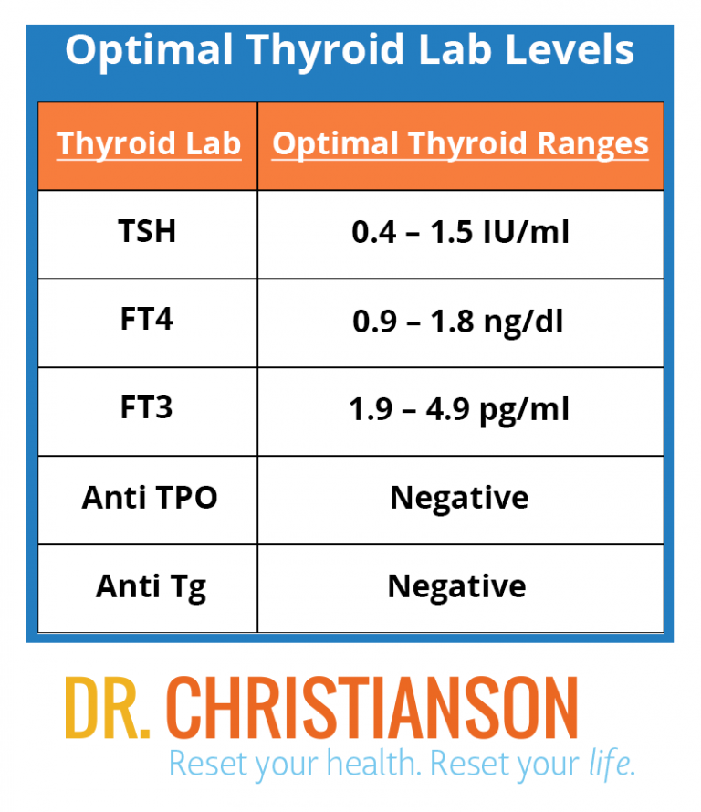 Normal Thyroglobulin Levels In Women